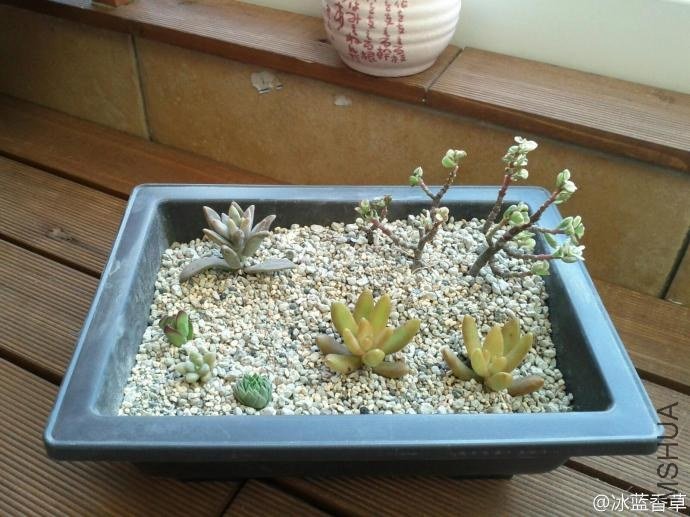 �ҵĵ�һ������ƴ��