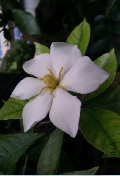 �������ӻ�