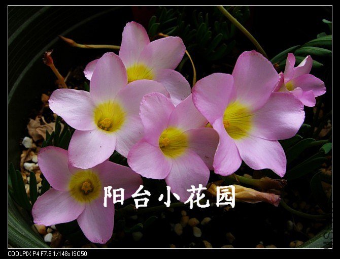 DSCN0071.jpg