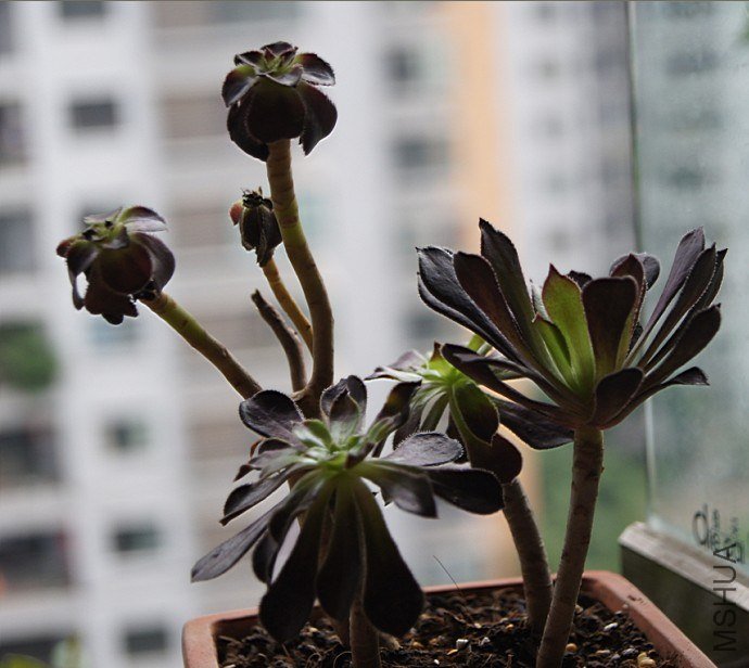 QQ��ͼ20121014124307.jpg