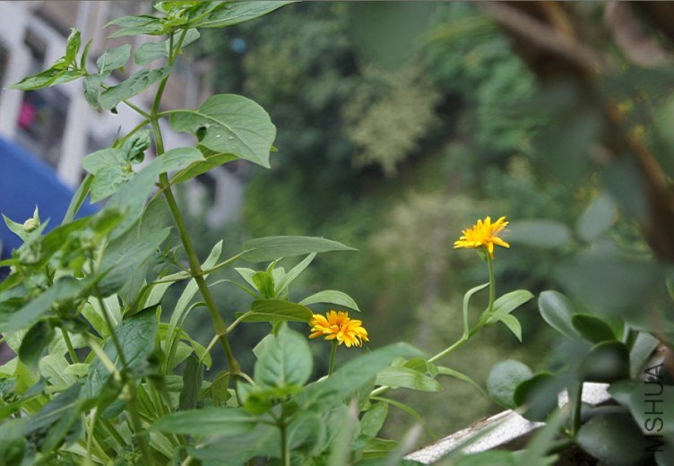 QQ��ͼ20121014124324.jpg