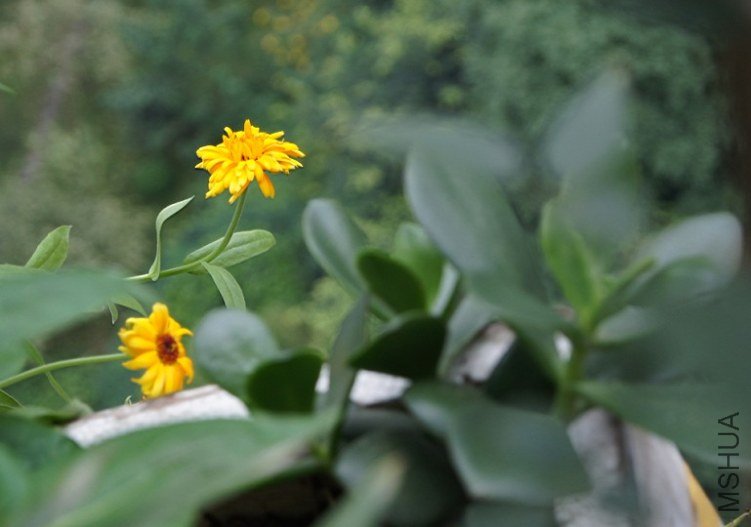 QQ��ͼ20121014132642.jpg