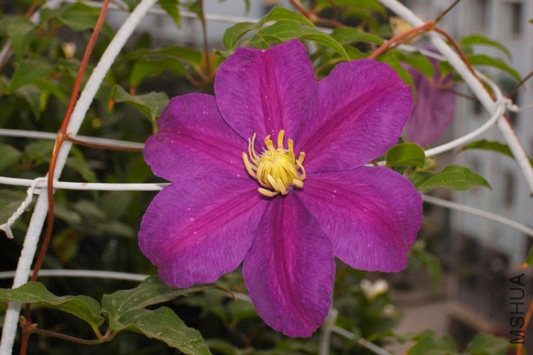 R1106101.JPG