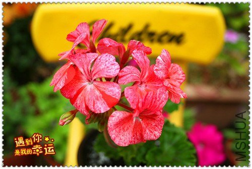 ��Ƭ 063_����.jpg