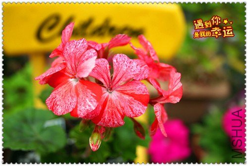 ��Ƭ 065_����.jpg