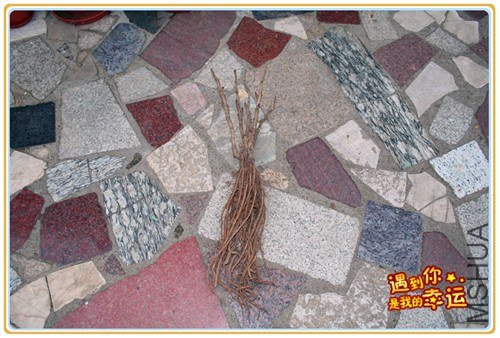 ��Ƭ 002_����.jpg