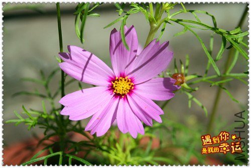 ��Ƭ 006_����.jpg