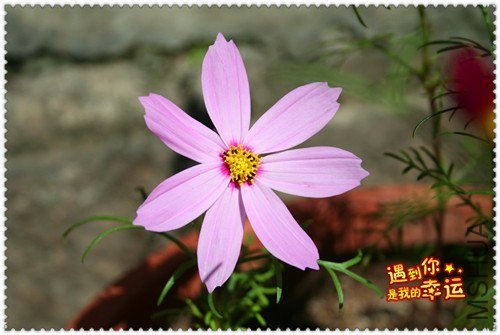 ��Ƭ 009_����.jpg