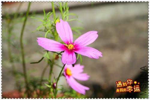 ��Ƭ 010_����.jpg