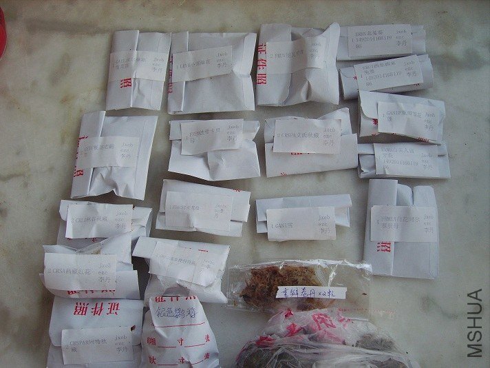 PICT2304.JPG