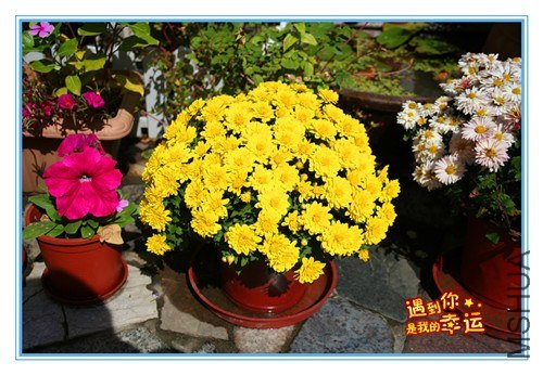 ��Ƭ 020_����.jpg