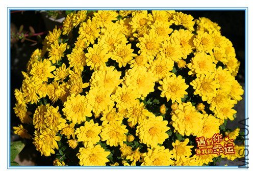 ��Ƭ 021_����.jpg