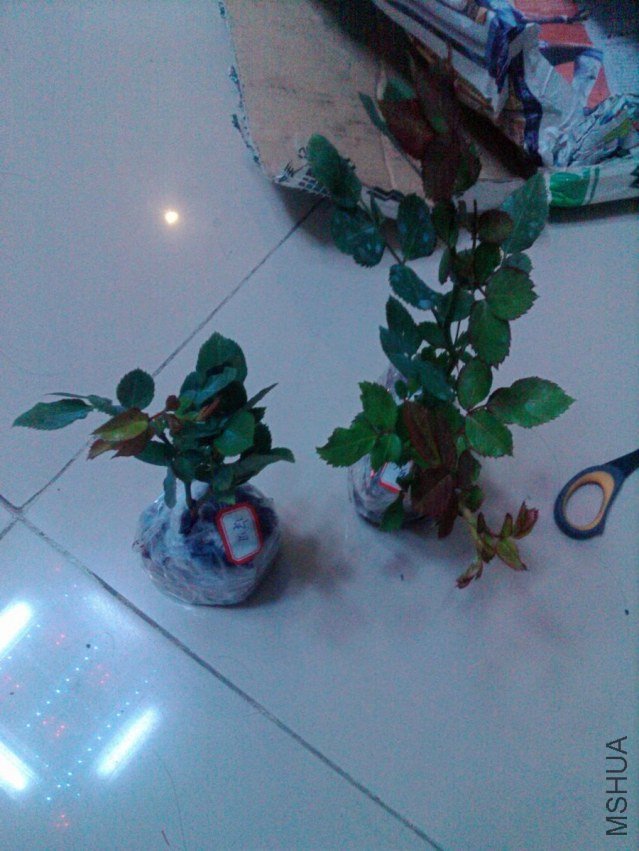 nEO_IMG_IMAGE00048.jpg