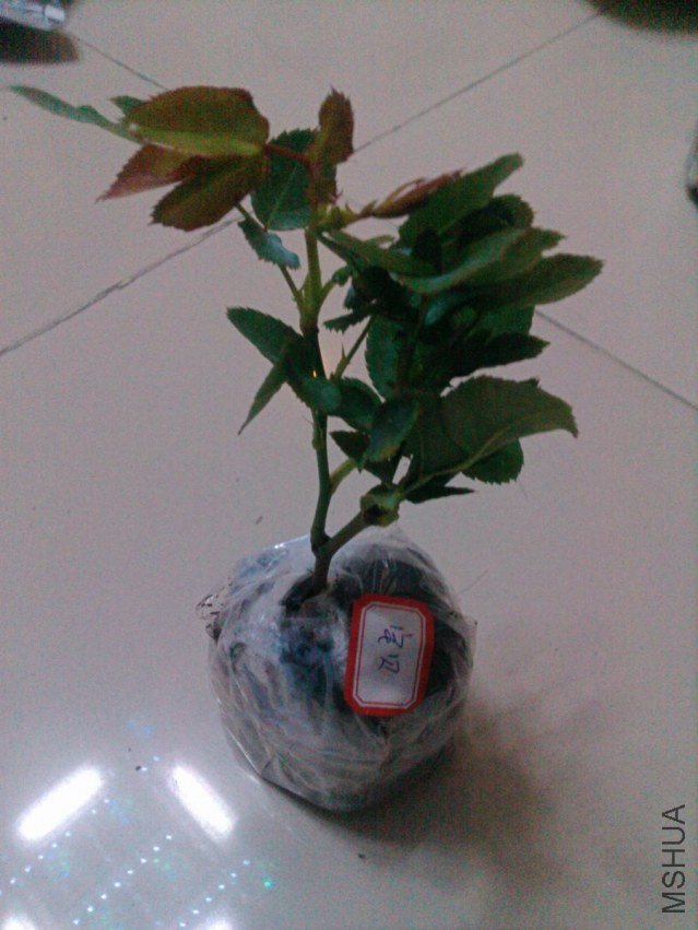 nEO_IMG_IMAGE00049.jpg