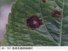 2010092811592344327.jpg