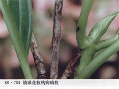 2010092811593765766.jpg
