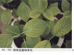 2010092812010549481.jpg