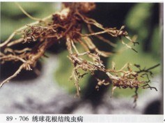 2010092812002659158.jpg