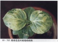 2010092811595884728.jpg