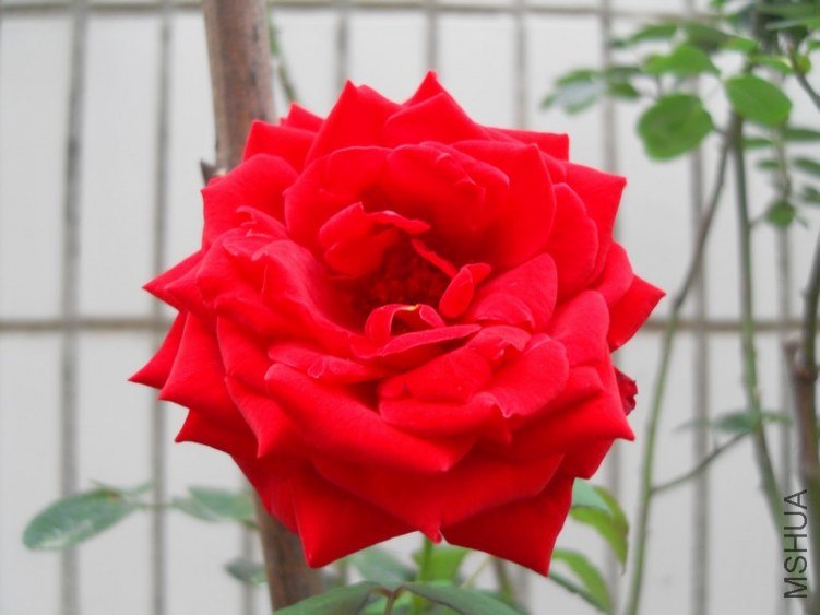 SDC15643.JPG