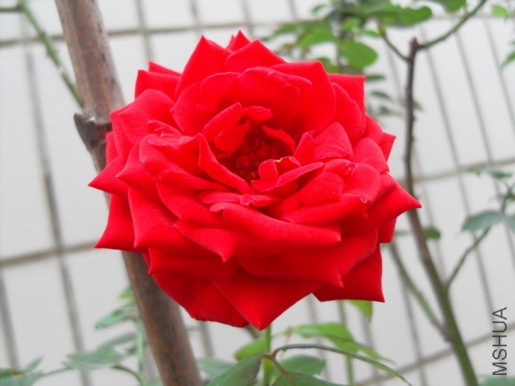 SDC15644.JPG