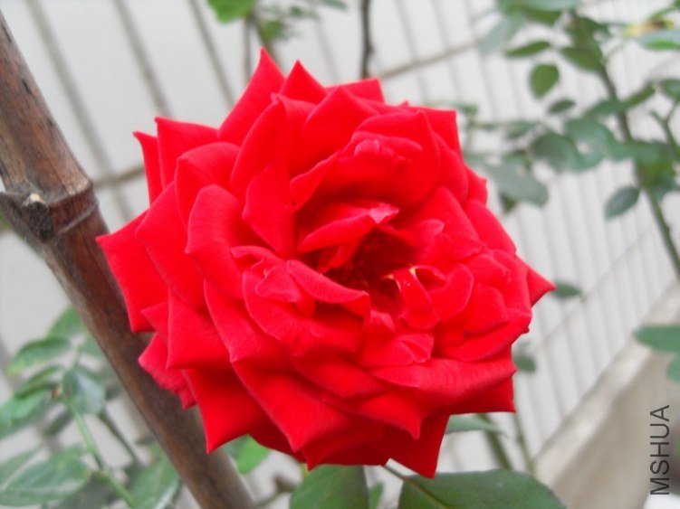 SDC15645.JPG