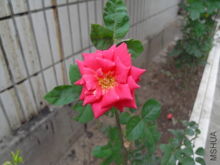 SDC15653.JPG