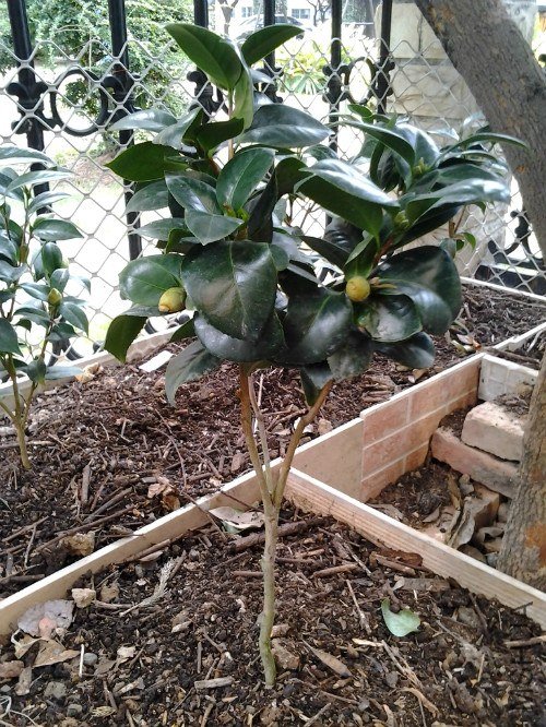 2012-10-15 12.04.03_meitu_6.jpg