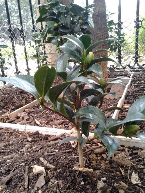 2012-10-15 12.04.27_meitu_7.jpg