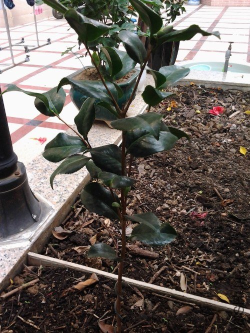 2012-10-15 12.06.49_meitu_11.jpg
