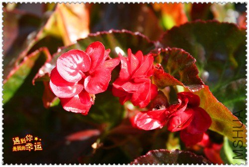 ��Ƭ 034_����.jpg