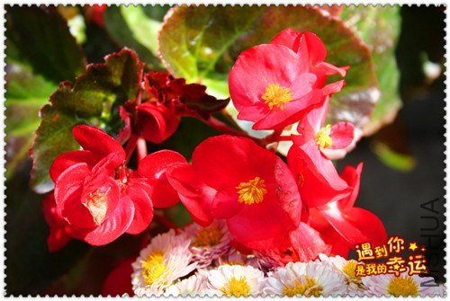 ��Ƭ 035_����.jpg