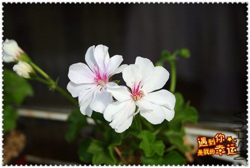 ��Ƭ 039_����.jpg