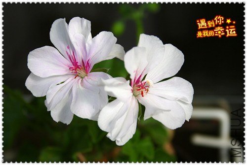 ��Ƭ 041_����.jpg