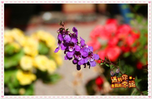 ��Ƭ 027_����.jpg