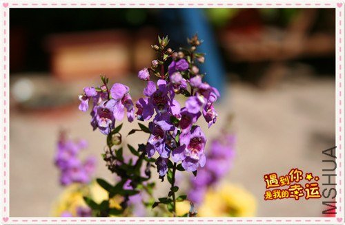 ��Ƭ 030_����.jpg