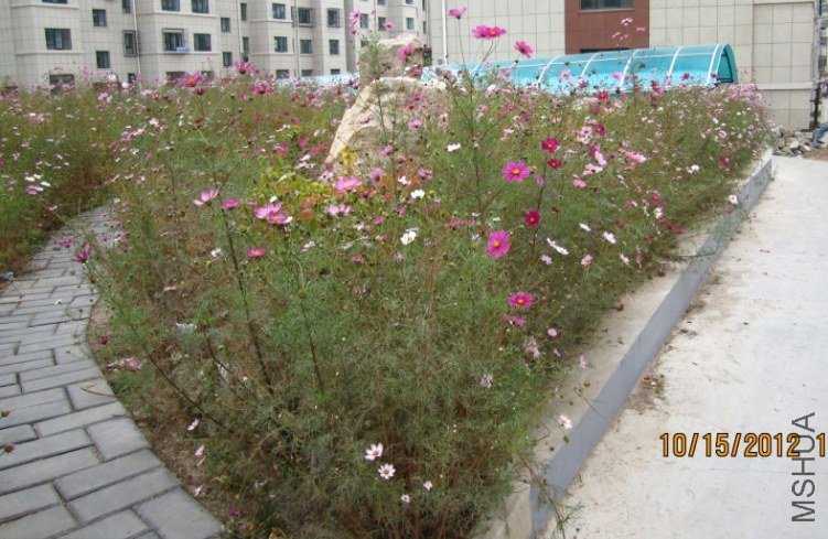 QQ��ͼ20121015172904.jpg