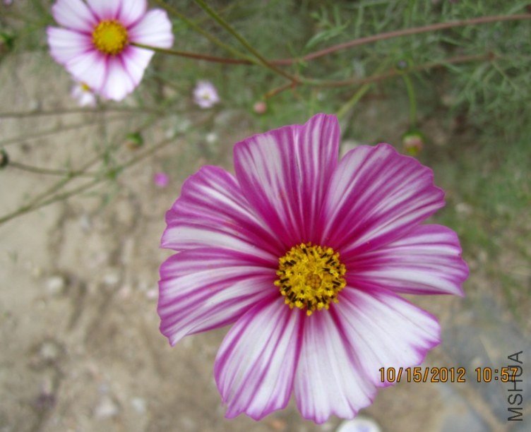 QQ��ͼ20121015172954.jpg