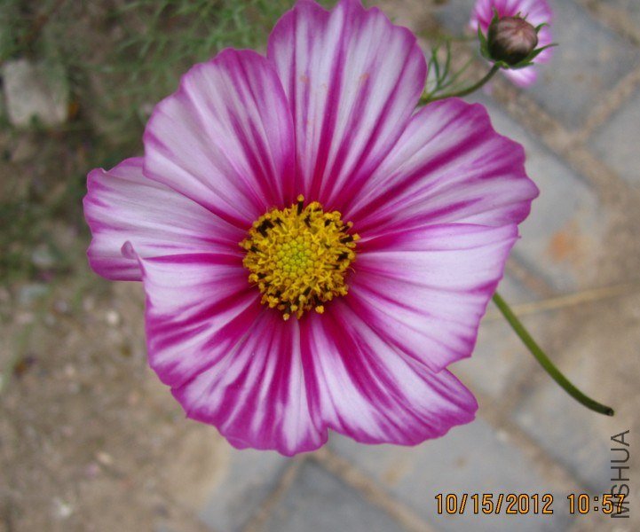 QQ��ͼ20121015173002.jpg