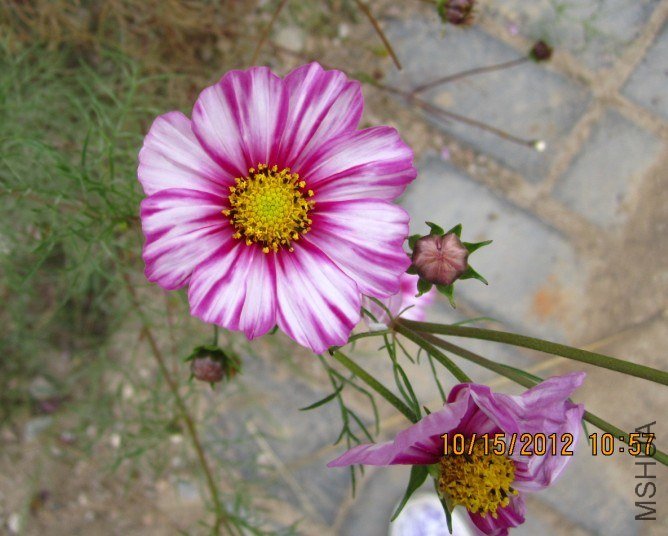 QQ��ͼ20121015173008.jpg