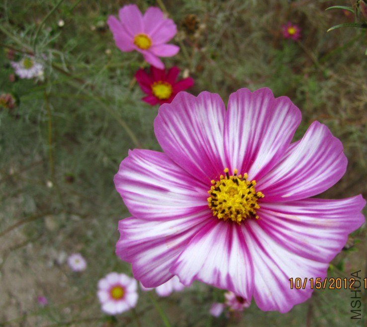QQ��ͼ20121015173022.jpg