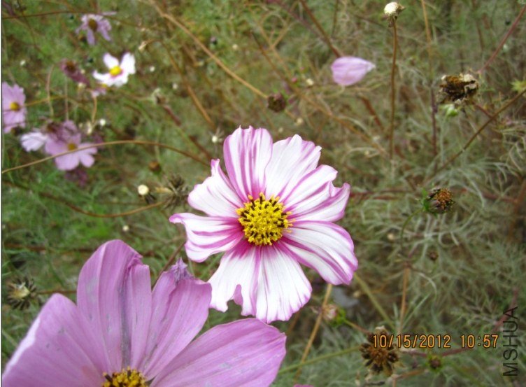 QQ��ͼ20121015173033.jpg