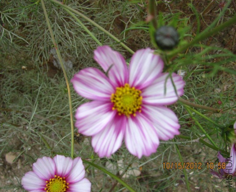 QQ��ͼ20121015173051.jpg