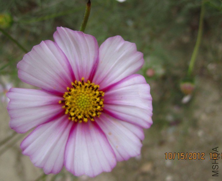 QQ��ͼ20121015173059.jpg