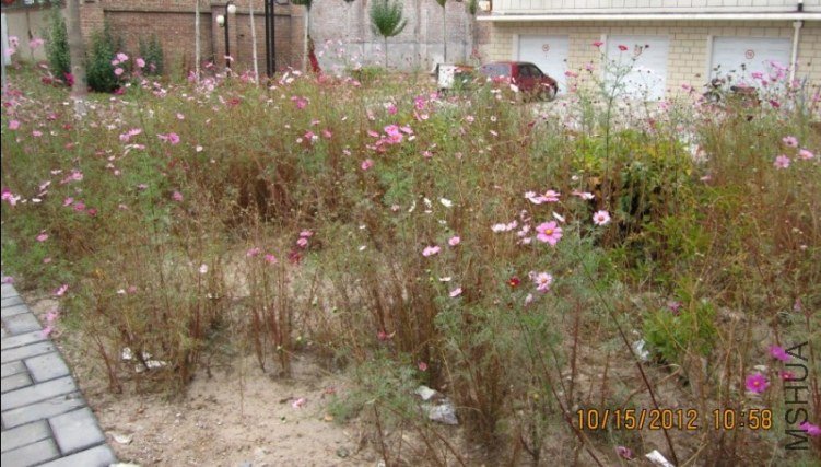 QQ��ͼ20121015175414.jpg