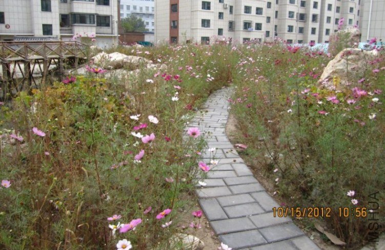 QQ��ͼ20121015175252.jpg