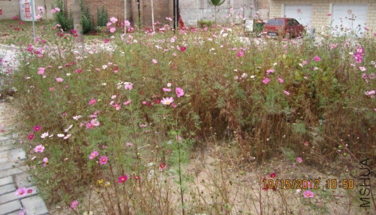 QQ��ͼ20121015175355.jpg