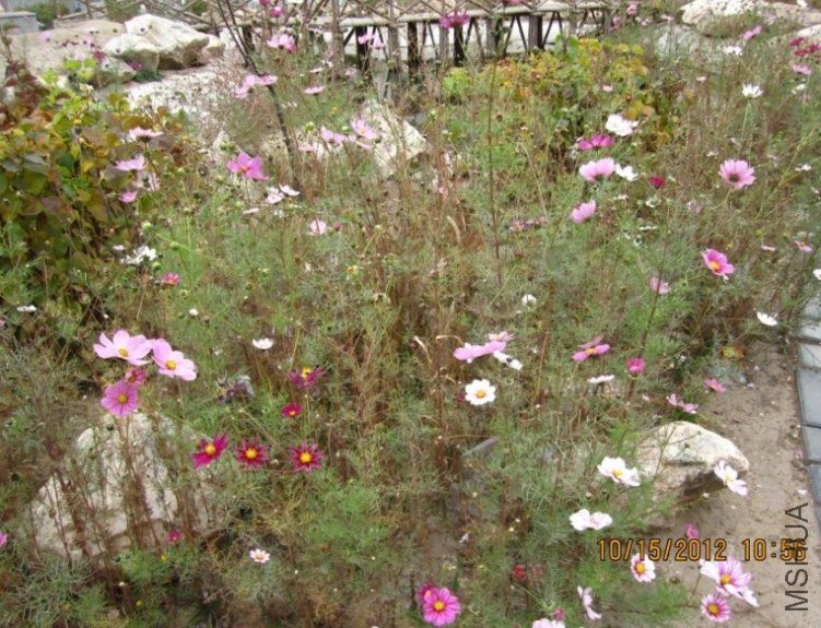 ��20121015175759.jpg
