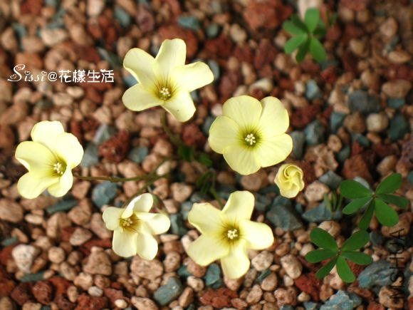 �׺��� 1.1.jpg