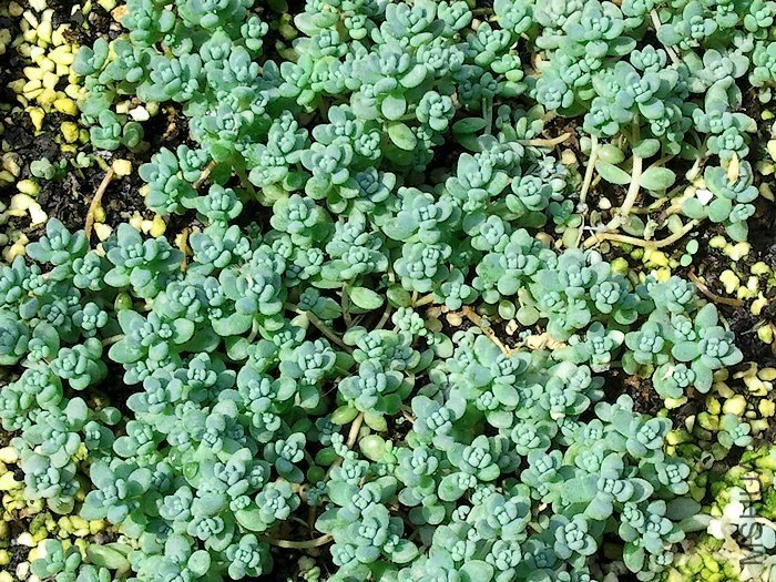 2012-09-08 11.19.41.jpg